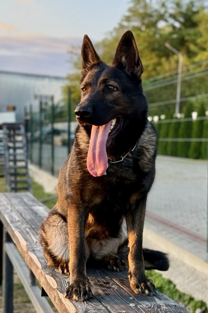 576392724_122273080664224244_8076929799308157620_n